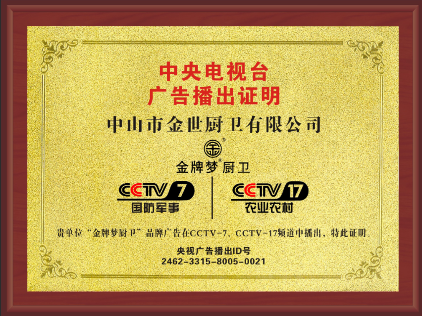 CCTV央视及卫视视频